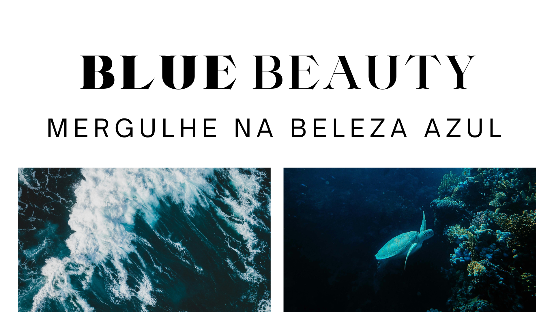 Blue Beauty - mergulhe na beleza azul